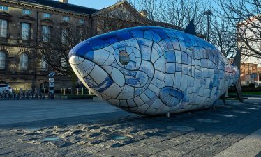 The Big Fish